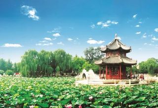 快收藏!保定夏日赏荷攻略来了!每一个都美爆了!