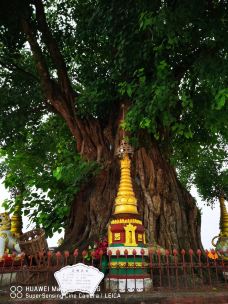 树包塔-芒市-自由行快乐