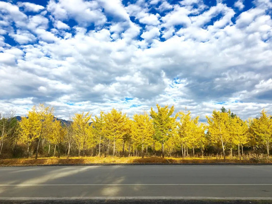 腾冲古村里的春夏秋冬四季景色，千姿百态，冬景排名云南前三