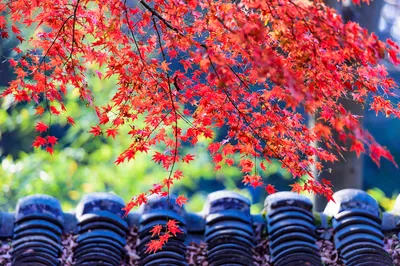 定慧寺