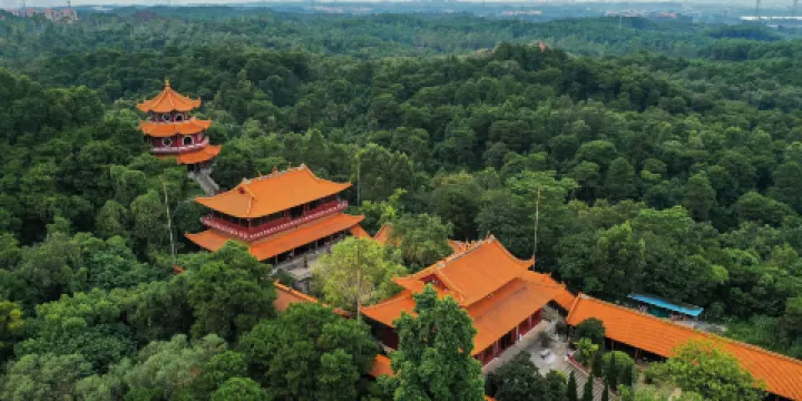 三水森林公園-孔聖園