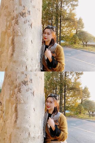 秋天游安吉，感受最美的五条路