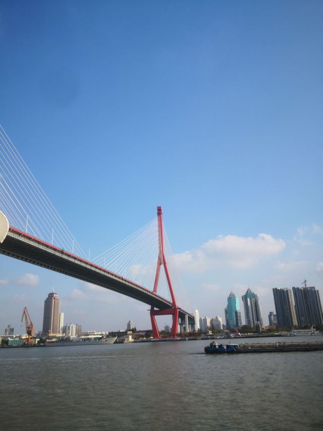 大桥公园旅行图片 3
