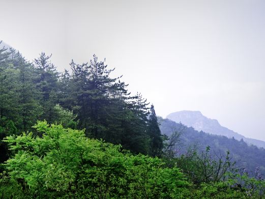 邯郸九峰山森林公园