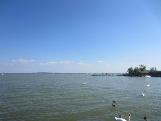 中欧最大湖泊-巴拉顿湖及周边夏季半日自驾游