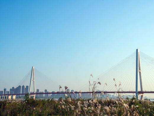 海口城市中央公园