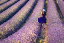 瓦朗索尔高原景点图片