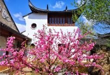 江南风情园景点图片