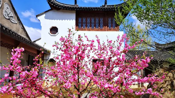 江南風情園