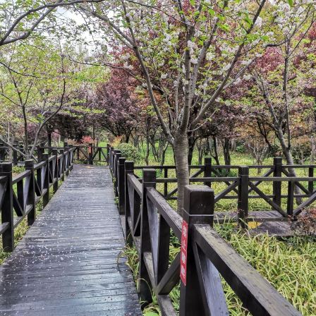 郊野公园