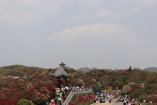 2021自驾游:湘鄂黔滇赏花之旅-概况