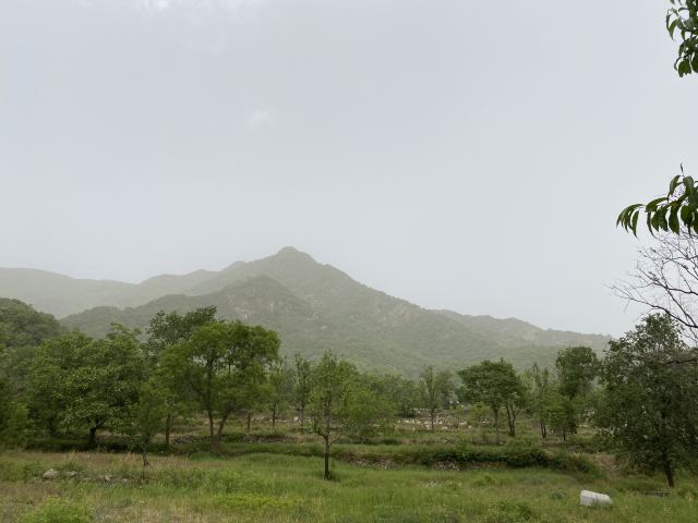 金陵遗址旅行图片 1