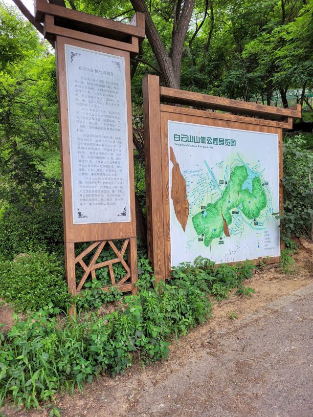 白云山山体公园旅行图片 1