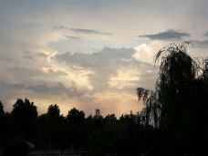 临沂市科技馆-临沂-小白_1912