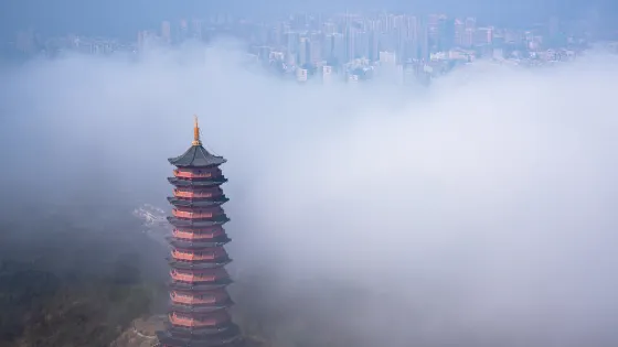 楊仙嶺