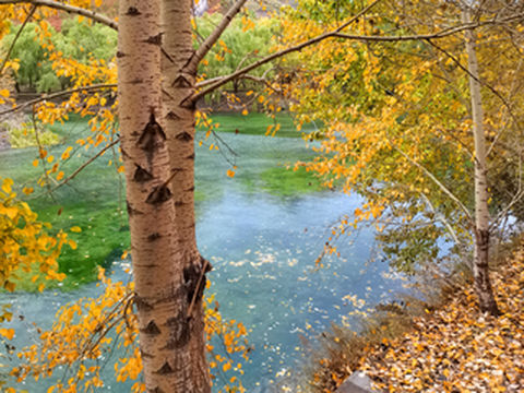 山西旅游：寻汾河源头观冰洞悬空村奇景（图）