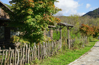 枫叶红了长白山(本溪,满乡传统村舍)