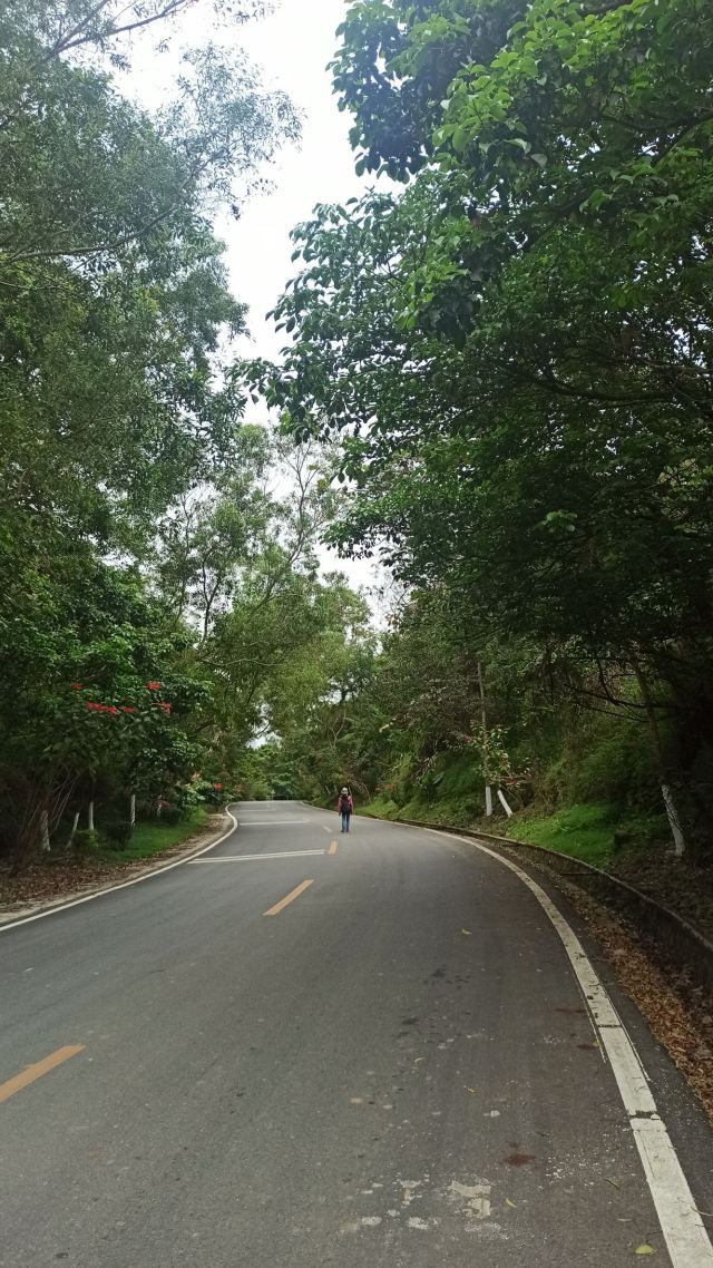 海南热带雨林国家公园五指山景区旅行图片 3