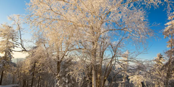 中國雪谷霧凇嶺景區