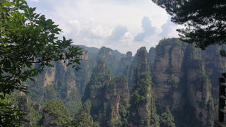 疫情过后请和我一起畅游张家界