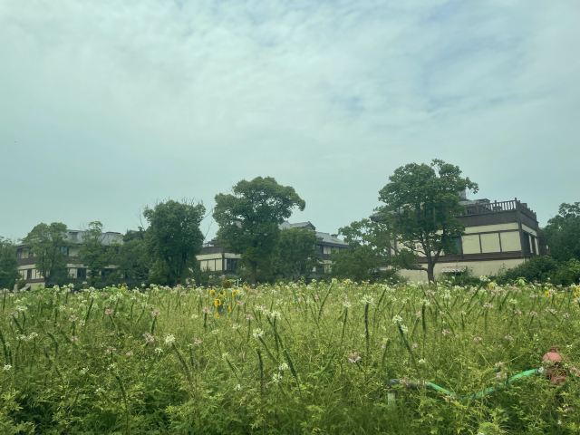 水磨沟风景区旅行图片 1