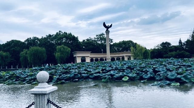 思贤公园旅行图片 3