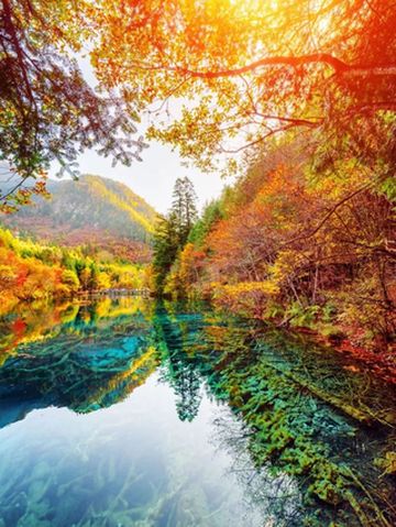 争创国家全域旅游示范区 | 阿坝州，过于“彩”了！