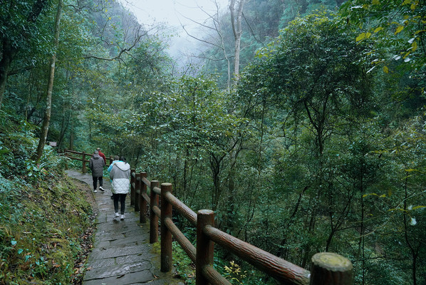 成都周边小众旅行地，泸州古蔺，好吃好玩好地方