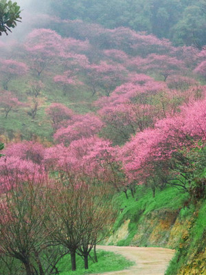 与世界再次重逢！宁波春节期间的绝美冬景！