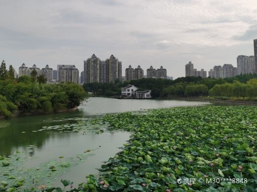 翡翠公园