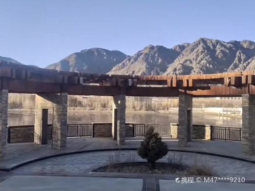 伊水园