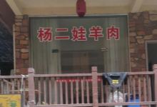 杨二娃羊肉馆美食图片