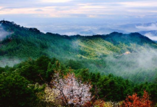 湖北三角山旅游度假区景点图片