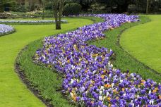 库肯霍夫公园-利瑟