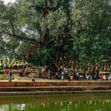 尼泊尔加德满都+奇旺+博卡拉+蓝毗尼+纳加阔特10日9晚私家团