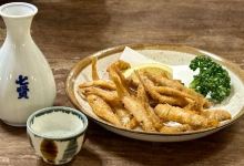 Kosaku Kawaguchiko Hoto Noodles美食图片