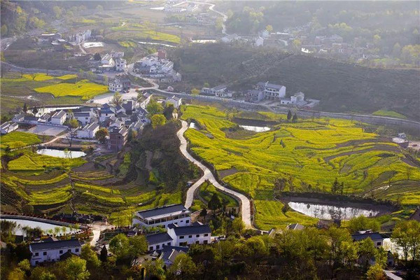 河南、安徽交界,藏了座绝美小山村!不要门票,一天吃住几十元