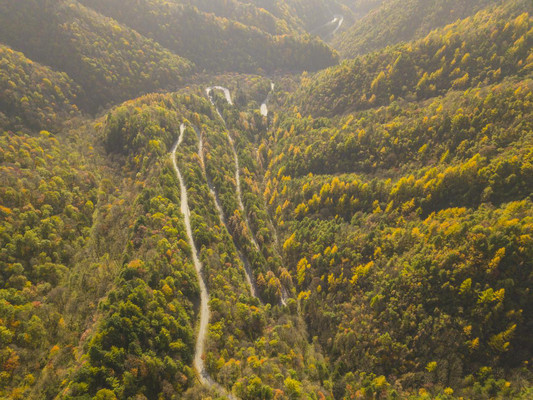 秋日好去处!西安周边藏了条陕西最美乡村公路,色彩斑斓红叶漫山