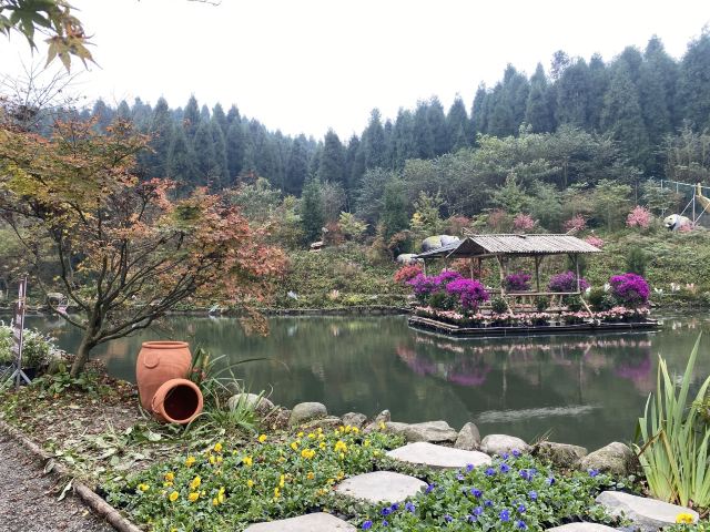 川西红枫岭旅行图片 3
