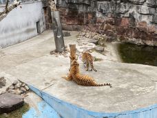 和平公园-上海-Mike达