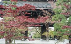 金戒光明寺-京都-小小呆60