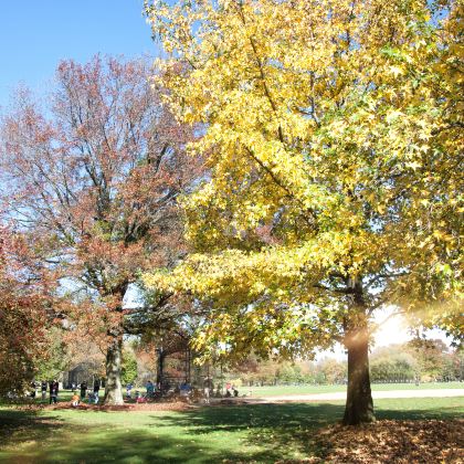 英国伦敦6日5晚拼小团