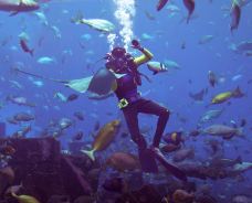 迪拜失落的空间水族馆-迪拜