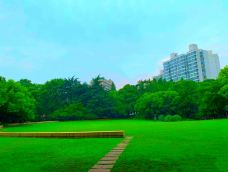 天山公园-上海-秒懂风景