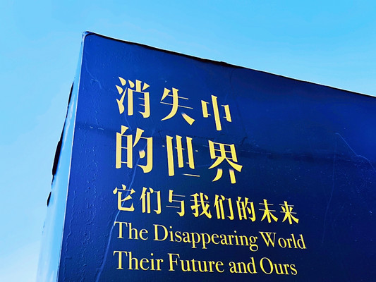 消失的世界—打卡云南省博物馆