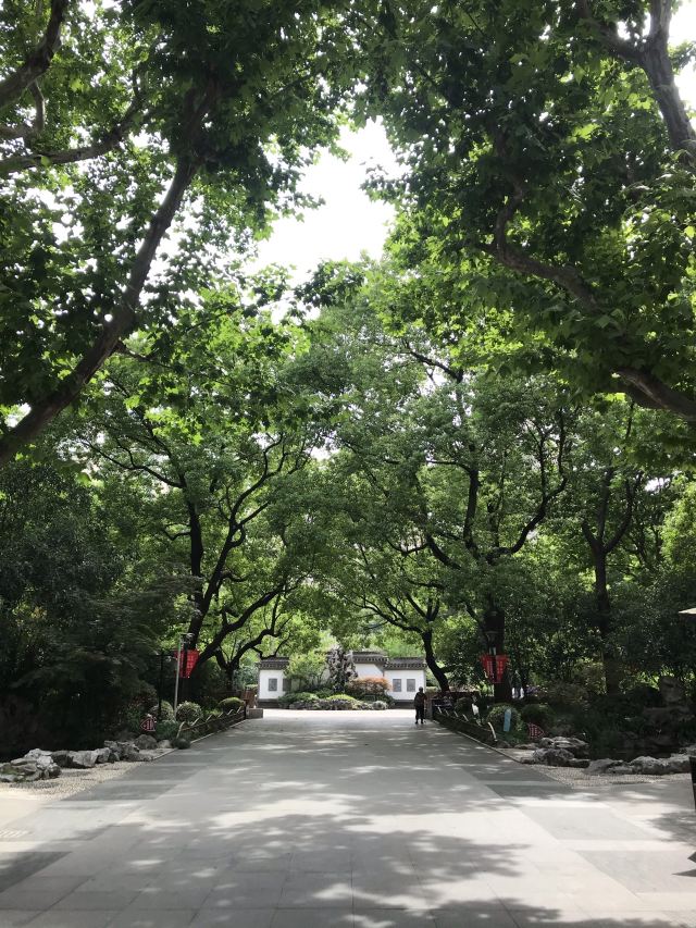 蓬莱公园旅行图片 2