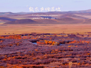 蒙兀室韦苏木游记图文-深秋呼伦贝尔丨额尔古纳湿地·室韦精华三日游