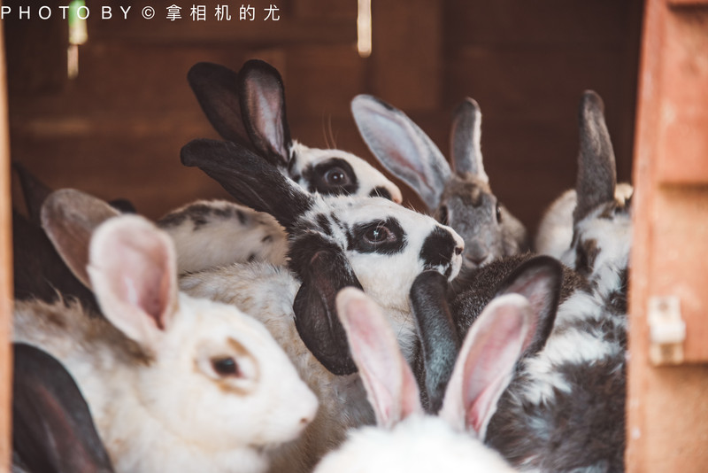 昆明旅游网