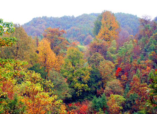 江西旅游:走进宜春四县采风记(图)