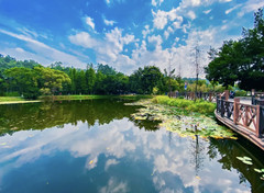 番禺区游记图片] 如果你没来过广州“小九寨沟”，那这个夏天就白过了